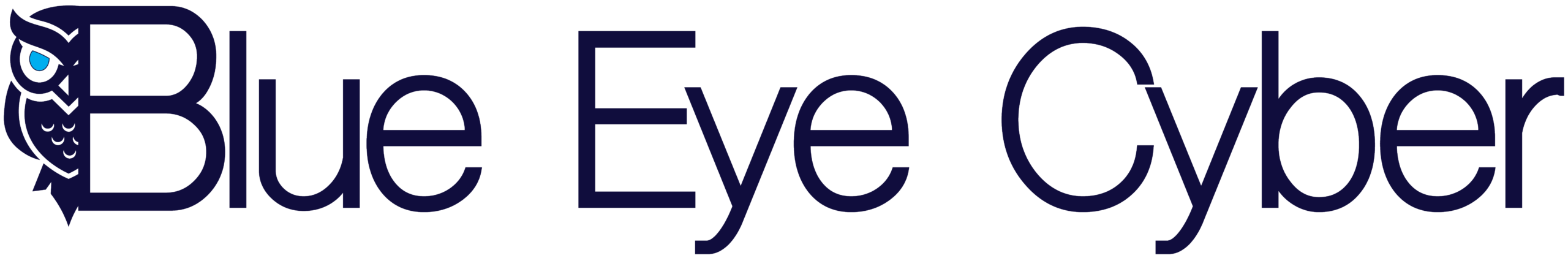 Blue Eye Cyber